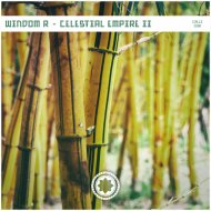 Windom R - Shaolin Funk (Original Mix)