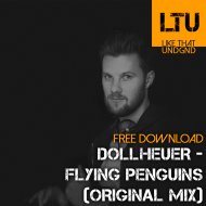 Dollheuer - Flying Penguins (Original Mix)