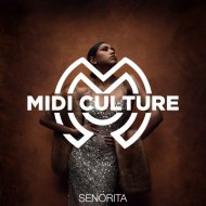 Midi Culture - Senorita (Original Mix)