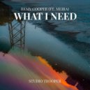 Remy Cooper Ft. Meira - What I Need (Original Mix)