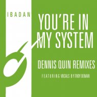 Kerri Chandler, Jerome Sydenham - You\'re In My System (Dennis Quin Atmospheric Dub Mix)