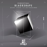 Perceptual - Blackshape (Original Mix)