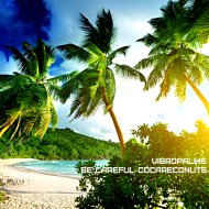 Dj Piloramos - Vibropalms (P.R.#55)
