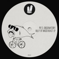 M.F.S. Observatory - Liva (Original Mix)