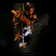 The Alchemical Theory - Emblematic (Original Mix)