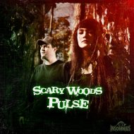 Scary Woods - Falling Mask (Original Mix)