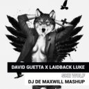 David Guetta x Laidback Luke - She Wolf (DJ De Maxwill Mashup)