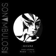 Jose Vilches - Iguana (original Mix)