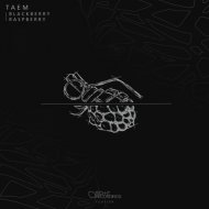 TAEM - Raspberry (Original Mix)