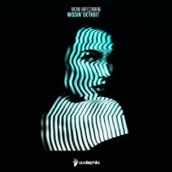 Aidin Hafezamini - Missin\' Detroit (Original Mix)