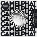 CamelPhat, Jem Cooke - Rabbit Hole (Black Circle Remix)