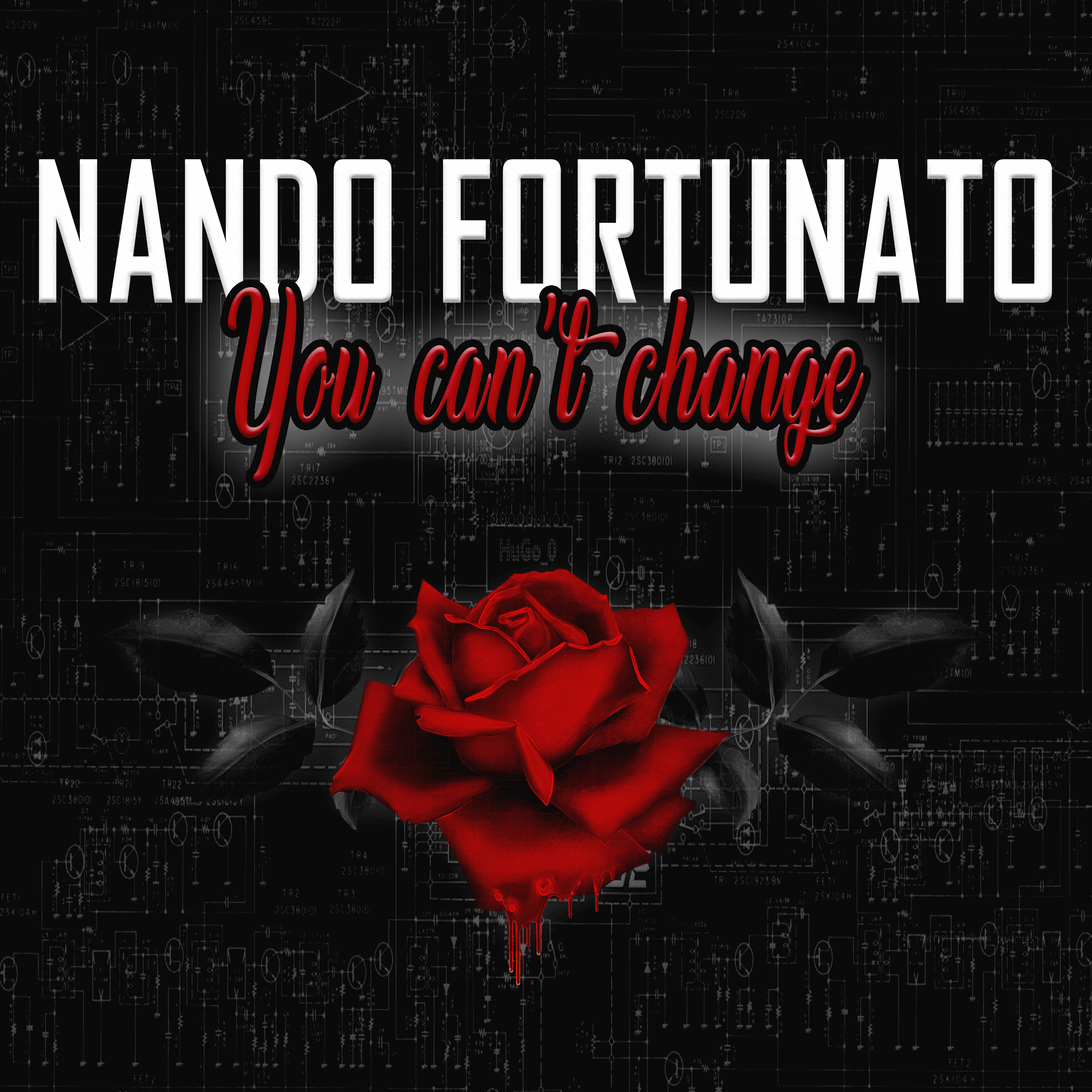 Nando fortunato. Нандо Фортунато. Фото Нандо Фортунато. Nando fortunato - Romance. Nando fortunato солистка.