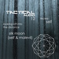 silk moon & self & malevil - Looking Off Into The Distance (Original Mix)