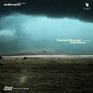 Jan Blomqvist - Elephant Shunned (Solee Extended Remix)