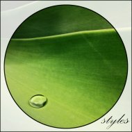 Styles in Black - Natural Wisdom (Original Mix)