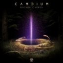 Cambium & Spiritual Mode - Psychedelic Vortex (Original Mix)