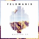 Feldmanis - Midnight Swing (Original mix)