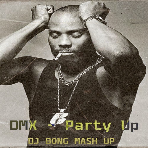 Dmx Party Up Dj Bong Mash Up Download Mp3