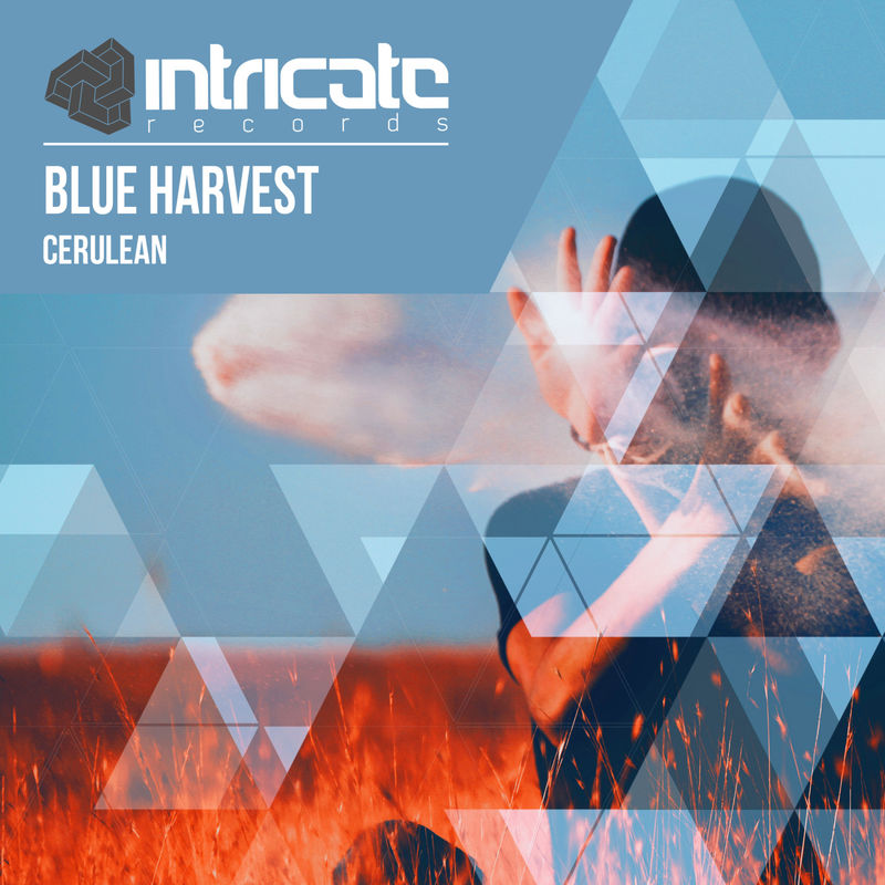 blue harvest