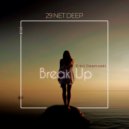 Erbil Dzemoski - Break Up (Original Mix)