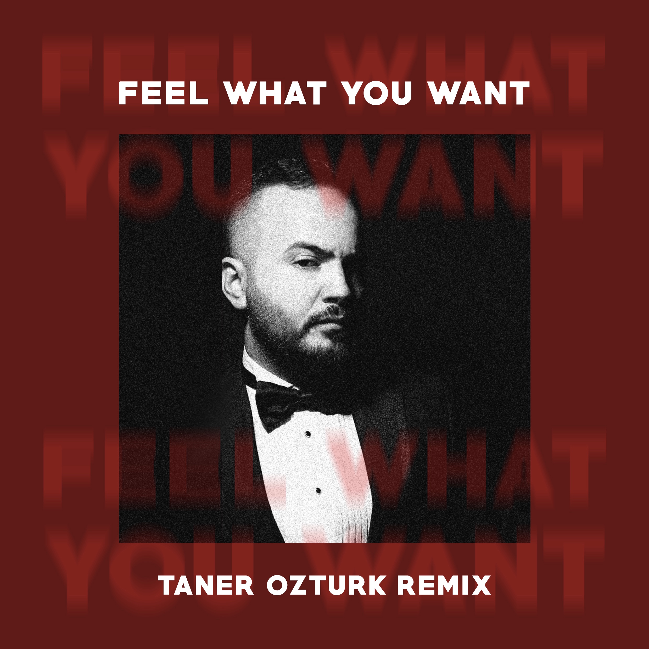 Песня what i want. Taner Ozturk Taner Ozturk - feel what you want. Phonique feel. Feel what you want. Phonique Rebecca.