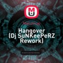 Hangover - Levritos (Dj SuNKeePeRZ Rework)