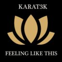 Karat3k - Feeling Like This (Original Mix)