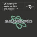 The Lab Rats, The Experiment feat. Lisa Millett - Music Is My Way Of Life (Dr Packer Extended Remix)