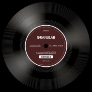 D.J. Max Ayew - Granular (Original Mix)