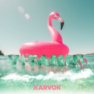 XARVOK - Vitamine D (Original Mix)