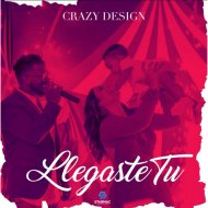 Crazy Design - Llegaste Tu (Original Mix)