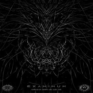 Ancestraliens - Huni Kuin (Original mix)