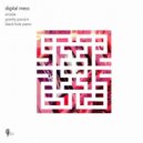 Digital Mess - Gravity Passion (Original Mix)