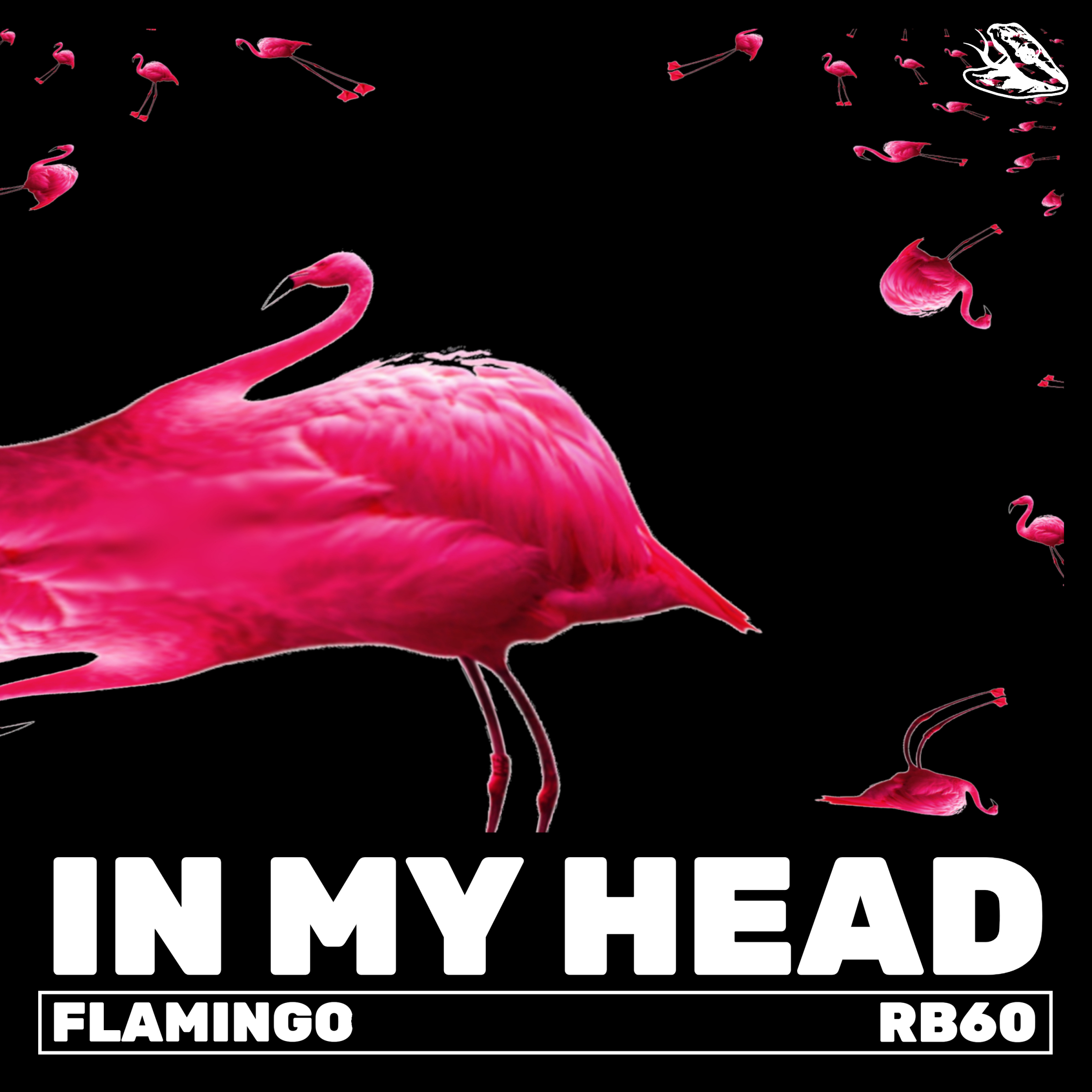 Слушать песню фламинго. Flamingo песня. Обложка к треку Фламинго. Обложка к треку Фламинго в неоне. Фламинго голова вид сверху.
